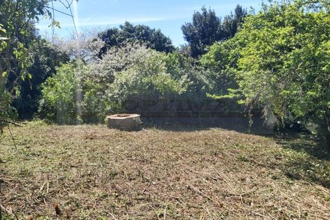 Helårsgrund i Alenquer, Lisbon, Alenquer - € 120.000 | Ref: SÒL_290 - foto 13