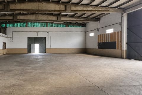Erhvervsejendom i Alter do Chao, Portalegre, Alter do Chao - € 295.000 | Ref: 011250043 - foto 2
