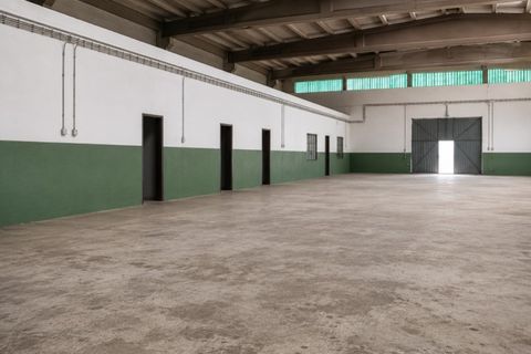 Erhvervsejendom i Alter do Chao, Portalegre, Alter do Chao - € 295.000 | Ref: 011250043 - foto 3