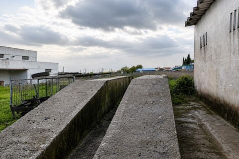 Erhvervsejendom i Alter do Chao, Portalegre, Alter do Chao - € 295.000 | Ref: 011250043 - foto 8