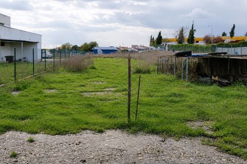 Erhvervsejendom i Alter do Chao, Portalegre, Alter do Chao - € 295.000 | Ref: 011250043 - foto 9