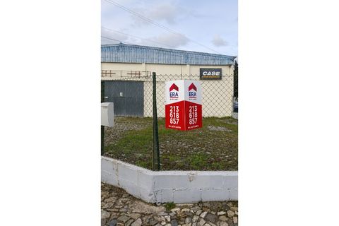 Erhvervsejendom i Alter do Chao, Portalegre, Alter do Chao - € 295.000 | Ref: 011250043 - foto 10