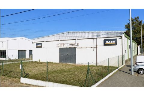 Erhvervsejendom i Alter do Chao, Portalegre, Alter do Chao - € 295.000 | Ref: 011250043 - foto 11