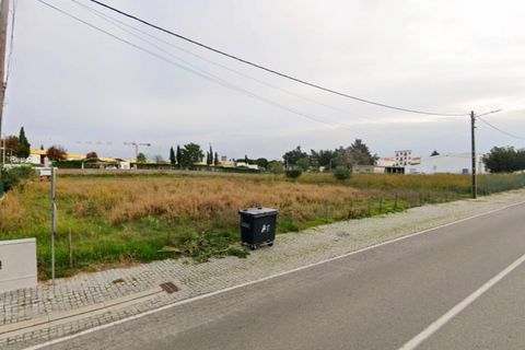 Helårsgrund i Alter do Chao, Portalegre, Alter do Chao - € 69.000 | Ref: 011250044 - foto 1