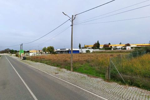Helårsgrund i Alter do Chao, Portalegre, Alter do Chao - € 69.000 | Ref: 011250044 - foto 2
