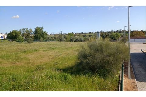 Helårsgrund i Alter do Chao, Portalegre, Alter do Chao - € 69.000 | Ref: 011250044 - foto 3