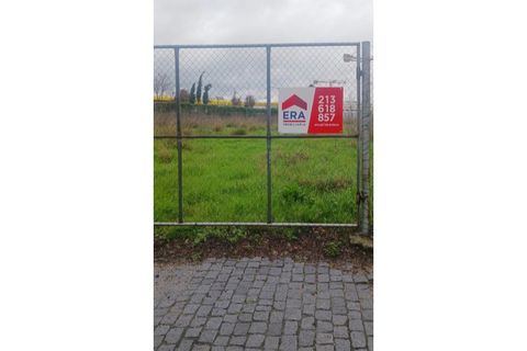 Helårsgrund i Alter do Chao, Portalegre, Alter do Chao - € 69.000 | Ref: 011250044 - foto 5