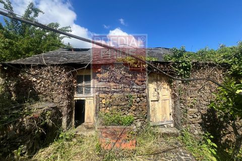 Villa a Arouca, Aveiro, Arouca - € 190.000 | Ref: PP1679 - foto 4
