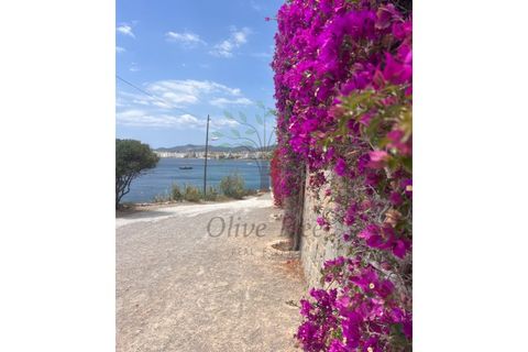 Lejlighed i Ibiza, Ibiza, Ibiza - € 2.400.000 | Ref: APA_1009 - foto 12