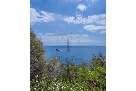 Lejlighed i Ibiza, Ibiza, Ibiza - € 2.400.000 | Ref: APA_1009 - foto 13