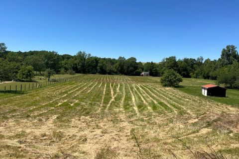 Terra a Aunac, Charente, Aunac - € 37.500 | Ref: BVI81066 - foto 5