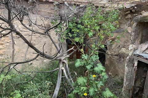 Landejendom i Macisvenda, Murcia, Macisvenda - € 29.950 | Ref: BML8664 - foto 25