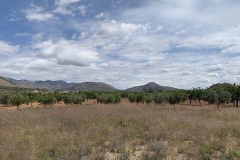 Landejendom i Macisvenda, Murcia, Macisvenda - € 29.950 | Ref: BML8664 - foto 30