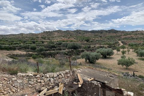 Landejendom i Macisvenda, Murcia, Macisvenda - € 29.950 | Ref: BML8664 - foto 32