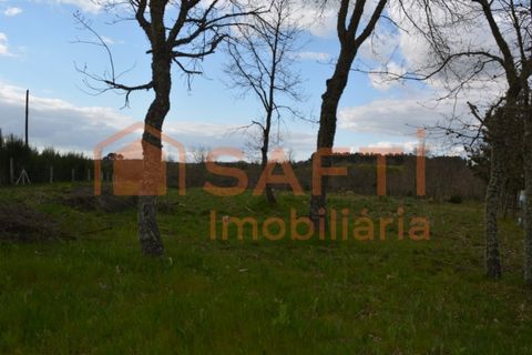 Helårsgrund i Guarda, Guarda, Guarda - € 53.000 | Ref: SAFTI:006732 - foto 3