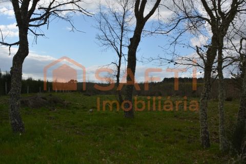 Helårsgrund i Guarda, Guarda, Guarda - € 53.000 | Ref: SAFTI:006732 - foto 7