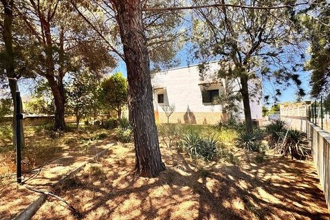 Villa a Carovigno, Brindisi, Carovigno - € 230.000 | Ref: v9 villa - foto 32