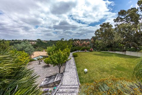 Villa a Santarem, Santarem, Santarem - € 1.000.000 | Ref: CB01-0215 - foto 48