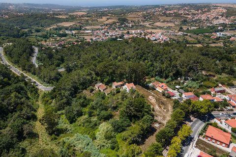 Farm hus i Sintra, Lisbon, Sintra - € 3.500.000 | Ref: CB01-0396 - foto 2