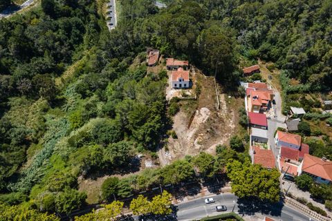 Farm hus i Sintra, Lisbon, Sintra - € 3.500.000 | Ref: CB01-0396 - foto 3