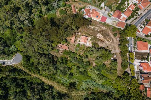 Farm hus i Sintra, Lisbon, Sintra - € 3.500.000 | Ref: CB01-0396 - foto 4