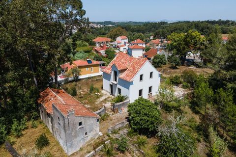 Farm hus i Sintra, Lisbon, Sintra - € 3.500.000 | Ref: CB01-0396 - foto 5