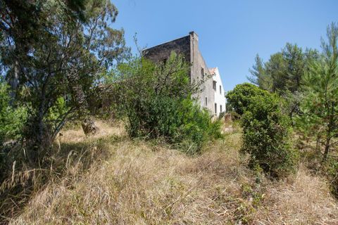 Farm hus i Sintra, Lisbon, Sintra - € 3.500.000 | Ref: CB01-0396 - foto 6