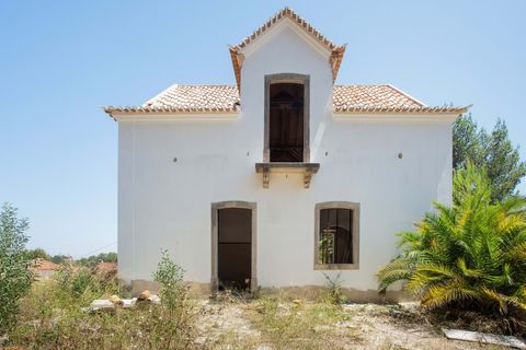 Farm hus i Sintra, Lisbon, Sintra - € 3.500.000 | Ref: CB01-0396 - foto 7