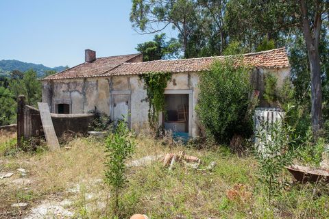 Farm hus i Sintra, Lisbon, Sintra - € 3.500.000 | Ref: CB01-0396 - foto 8
