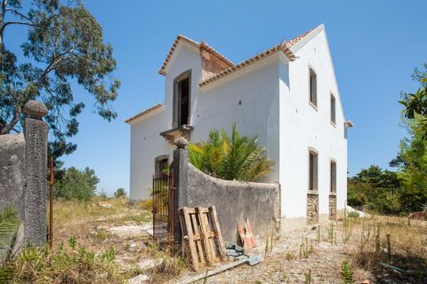 Farm hus i Sintra, Lisbon, Sintra - € 3.500.000 | Ref: CB01-0396 - foto 9