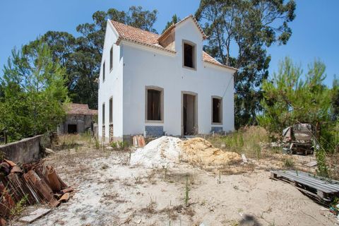 Farm hus i Sintra, Lisbon, Sintra - € 3.500.000 | Ref: CB01-0396 - foto 10
