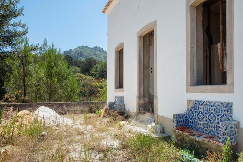 Farm hus i Sintra, Lisbon, Sintra - € 3.500.000 | Ref: CB01-0396 - foto 11