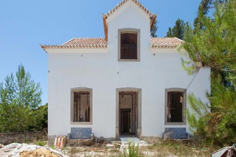 Farm hus i Sintra, Lisbon, Sintra - € 3.500.000 | Ref: CB01-0396 - foto 12