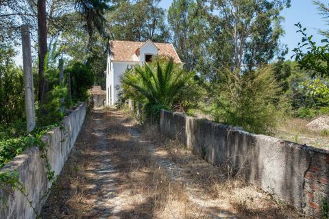 Farm hus i Sintra, Lisbon, Sintra - € 3.500.000 | Ref: CB01-0396 - foto 13