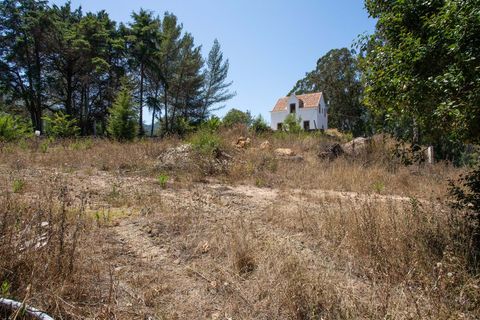 Farm hus i Sintra, Lisbon, Sintra - € 3.500.000 | Ref: CB01-0396 - foto 14