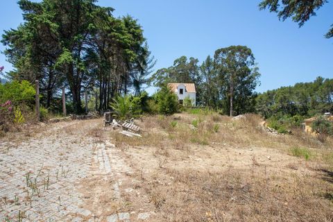 Farm hus i Sintra, Lisbon, Sintra - € 3.500.000 | Ref: CB01-0396 - foto 15