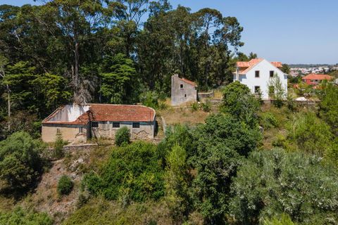 Farm hus i Sintra, Lisbon, Sintra - € 3.500.000 | Ref: CB01-0396 - foto 16