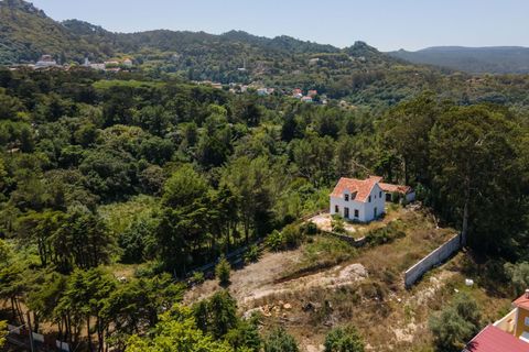Farm hus i Sintra, Lisbon, Sintra - € 3.500.000 | Ref: CB01-0396 - foto 17
