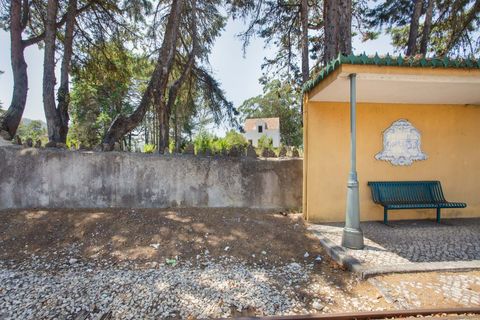 Farm hus i Sintra, Lisbon, Sintra - € 3.500.000 | Ref: CB01-0396 - foto 19