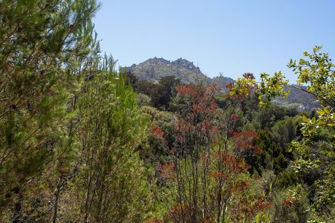 Farm hus i Sintra, Lisbon, Sintra - € 3.500.000 | Ref: CB01-0396 - foto 20