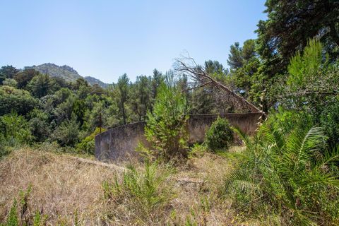 Farm hus i Sintra, Lisbon, Sintra - € 3.500.000 | Ref: CB01-0396 - foto 22