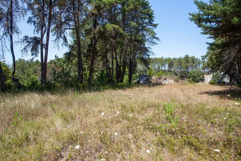 Farm hus i Sintra, Lisbon, Sintra - € 3.500.000 | Ref: CB01-0396 - foto 23