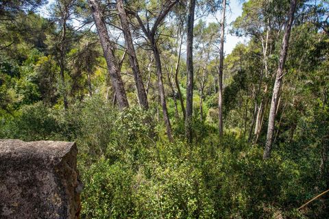 Farm hus i Sintra, Lisbon, Sintra - € 3.500.000 | Ref: CB01-0396 - foto 24