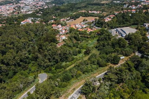 Farm hus i Sintra, Lisbon, Sintra - € 3.500.000 | Ref: CB01-0396 - foto 26