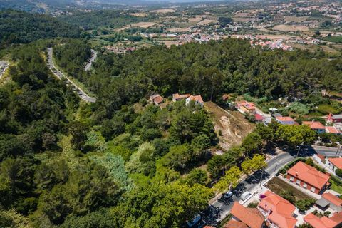 Farm hus i Sintra, Lisbon, Sintra - € 3.500.000 | Ref: CB01-0396 - foto 28