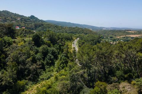 Farm hus i Sintra, Lisbon, Sintra - € 3.500.000 | Ref: CB01-0396 - foto 29