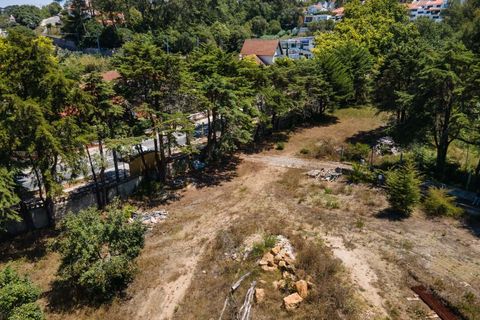 Farm hus i Sintra, Lisbon, Sintra - € 3.500.000 | Ref: CB01-0396 - foto 30