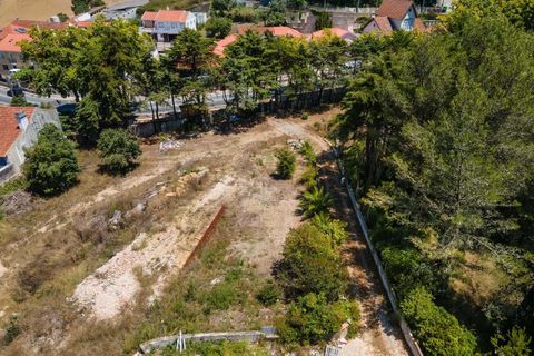 Farm hus i Sintra, Lisbon, Sintra - € 3.500.000 | Ref: CB01-0396 - foto 31