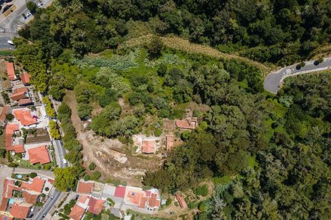 Farm hus i Sintra, Lisbon, Sintra - € 3.500.000 | Ref: CB01-0396 - foto 32