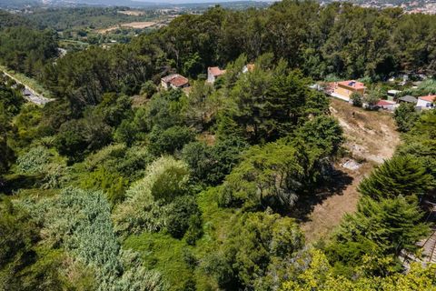 Farm hus i Sintra, Lisbon, Sintra - € 3.500.000 | Ref: CB01-0396 - foto 35
